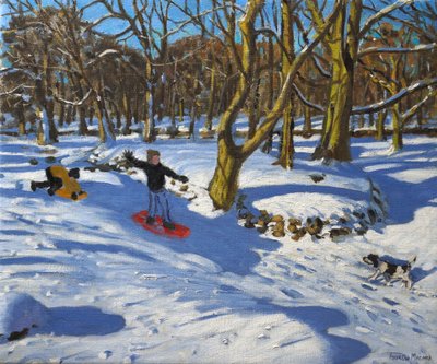 Kırmızı kızak, Lomberdale Salonu, Derbyshire, 2014, by Andrew Macara