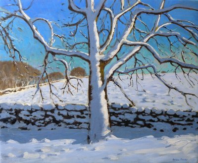 Karla Kaplı Ağaç, 2011 (tuval üzerine yağlı boya) by Andrew Macara
