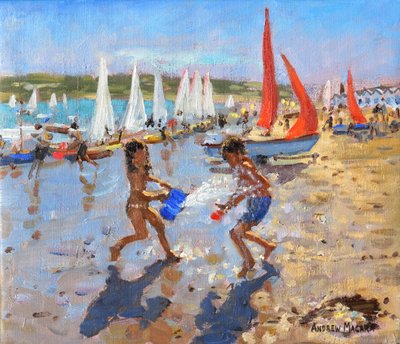 Sıçrayan,Abersoch,2015 by Andrew Macara