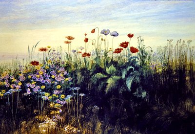 Yabani Çiçekler (kağıt üzerine sulu boya) by Andrew Nicholl