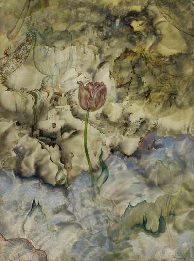 by Andrey Avinoff