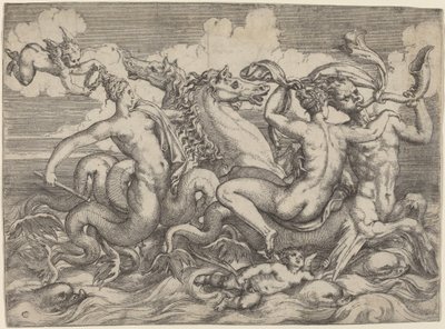 Sirenler, Naiadlar ve Tritonlar by Angelo Falconetto