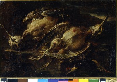 Kuşların natürmort. Angelo Maria Crivellone tarafından yapılan resim (? - 1730/60?). Milano, CRA. by Angelo Maria Crivelli