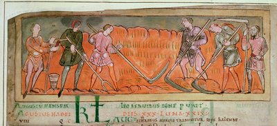 Cott Tib B V f.6v Hasat, Takvimden, c.1030 (parşömen) (detay 41681) by Anglo Saxon
