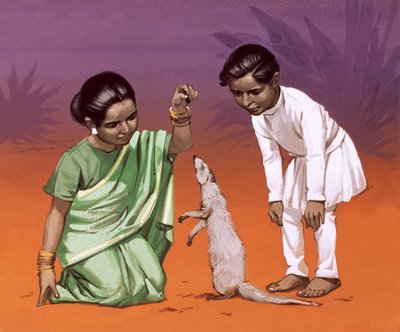 Hindistan
