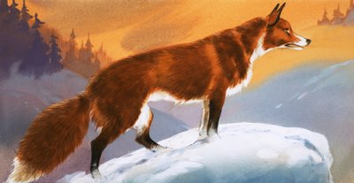 Karda tilki by Angus McBride