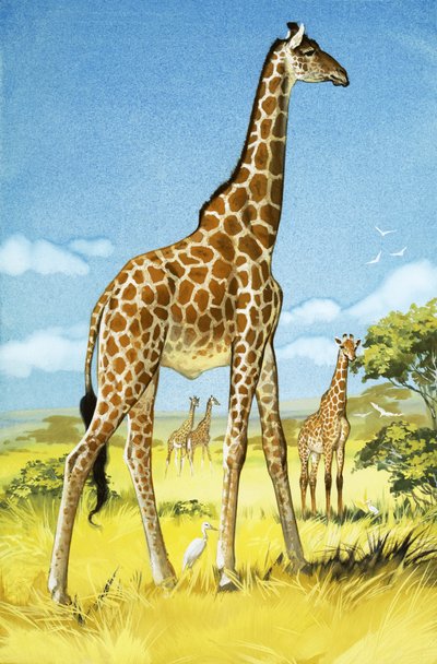 Zürafalar by Angus McBride