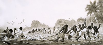 Karayip yerlileri denizlerde balık avlamak için ağ kullanıyor by Angus McBride