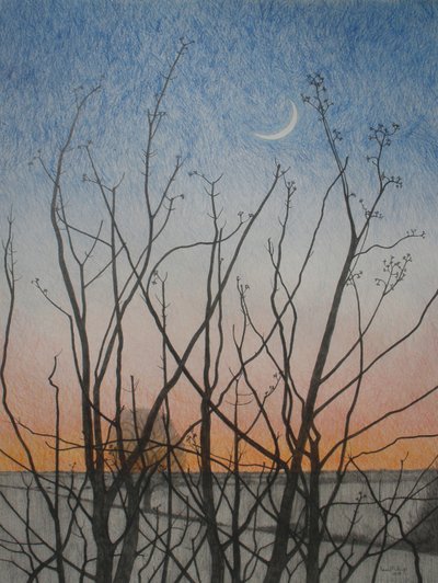 Penceremden, 2011 (kağıt üzerine renkli kalem) by Anna Phillips