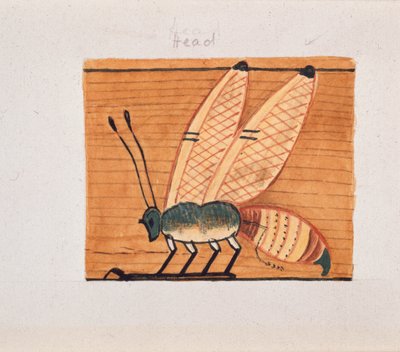 Duvar resminin kopyası, Mentuhotep mezarı, Thebes, 20. yüzyıl by Anna