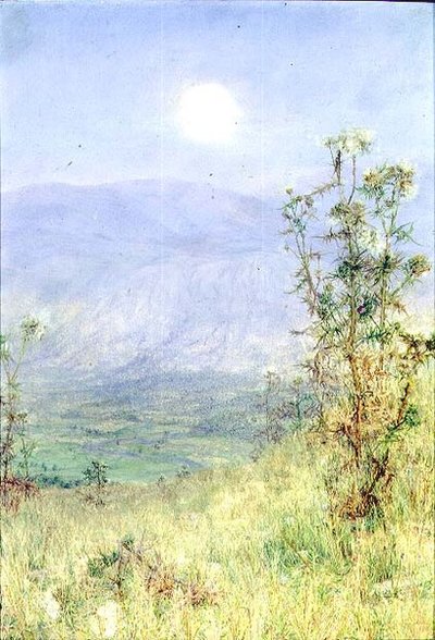 Avara Hasadı by Anna Alma Tadema
