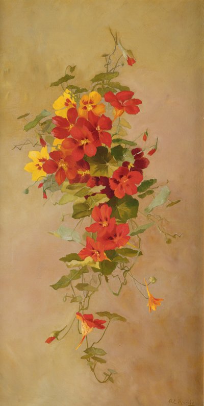 Nasturtiums  by Anna Eliza Hardy