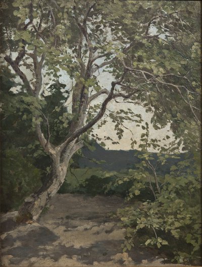 Bir Ağaç çalışması (kağıt üzerinde yağlı boya) by Anna Nordlander