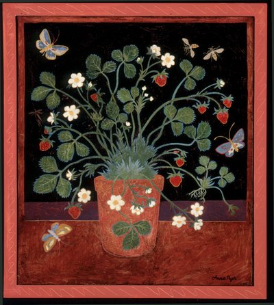 Çilek saksısı by Anna Pugh