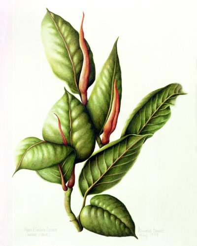 Kauçuk Fabrikası, 1999 (kağıt üzerine wc) by Annabel Barrett