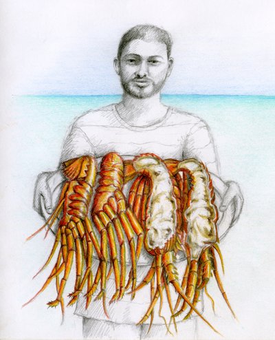 Dikenli ıstakoz, 2019 (kurşun kalem ve renkli kalem) by Annalisa Morrocco