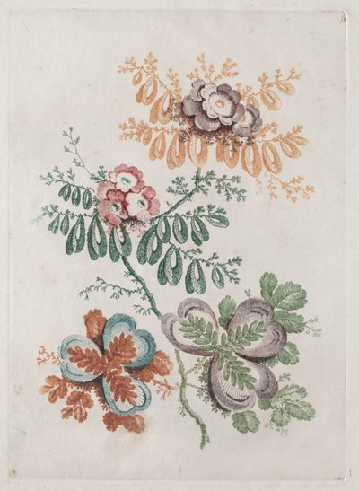 Tasarım ve Boyama için Kullanmak İçin İdeal Yeni Çiçek Portföy Paketi: Çiçek Fantezileri, c. 179 by Anne Allen