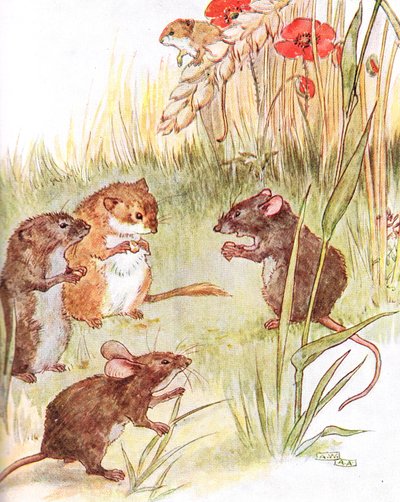 'Ülkede arkadaşlarla kalıyorum', Thomas Nelson und Sons tarafından yayınlanan 'Yaramaz Fare Kitabı'ndan bir çizim, 1920'ler by Anne Anderson