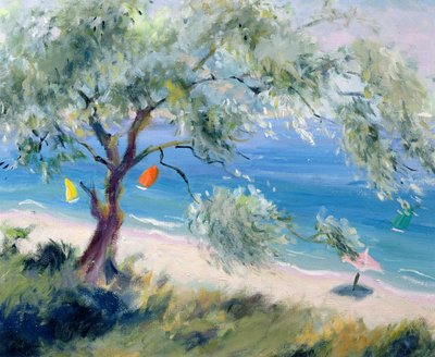 bir sahile bakmak by Anne Durham