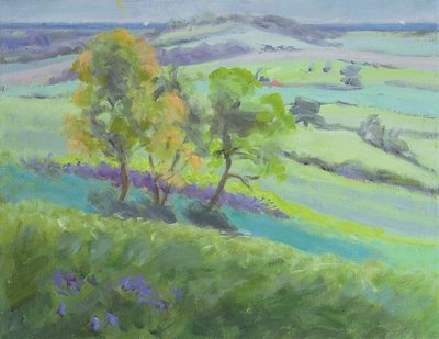 İlkbaharda Bluebells ile Winchelsea, Sussex