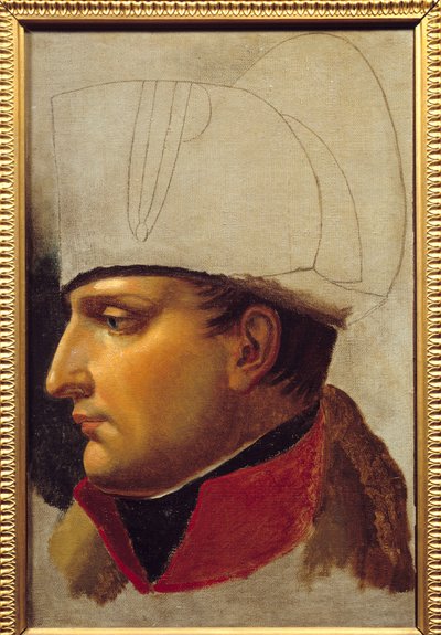 Napolyon