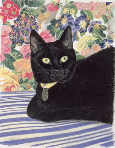 Kara kedi by Anne Robinson