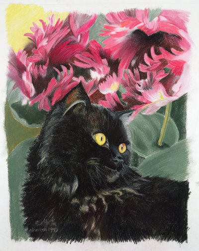 siyah laleler by Anne Robinson