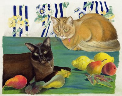 Meyveli kediler by Anne Robinson