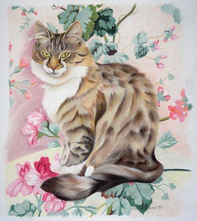 Uzun saçlı tekir by Anne Robinson