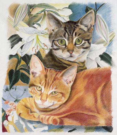 Biber ve tuz by Anne Robinson