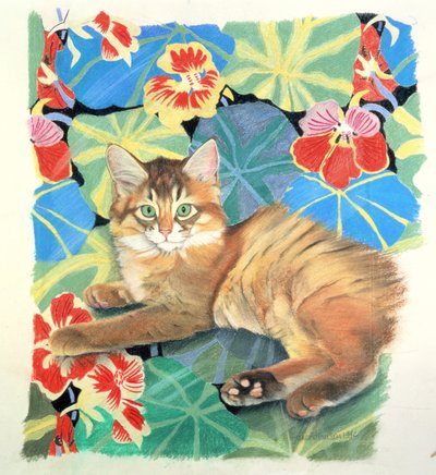 İsli ve Dufy Kumaş by Anne Robinson