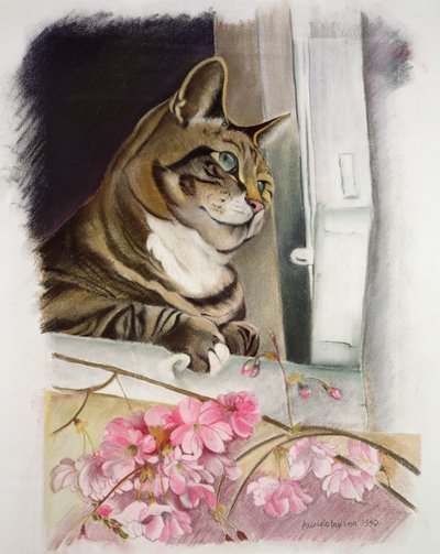 Pencerede çizgili by Anne Robinson