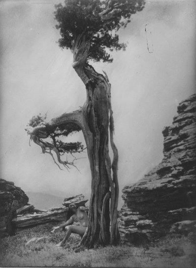 İsimsiz (Sedir ağacının dibinde çıplak) by Anne W. Brigman