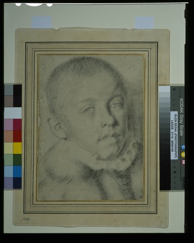 Genç bir çocuğun portre başı (kağıt üzerinde siyah tebeşir ve karakalem) by Annibale (follower of) Carracci