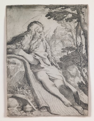 Mecdelli Meryem Vahşi Doğada by Annibale Carracci