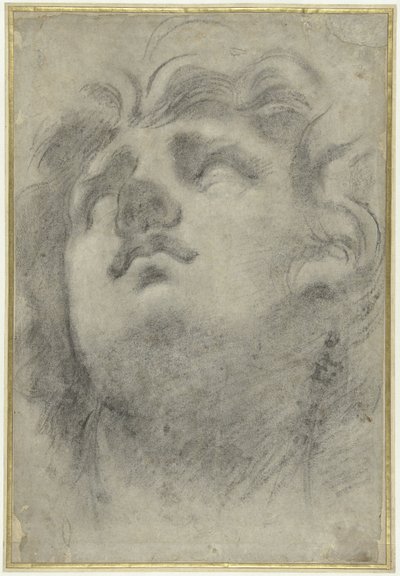 Bir triton başkanı arıyorum by Annibale Carracci
