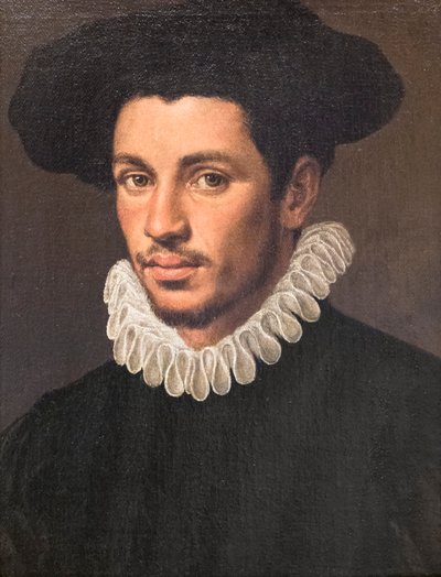 genç bir adamın portresi by Annibale Carracci
