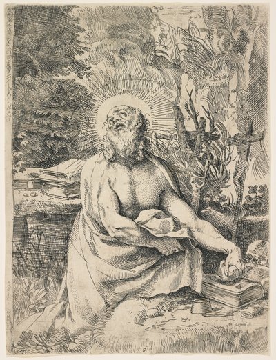 Vahşi Doğada Aziz Jerome, c. 1591 by Annibale Carracci