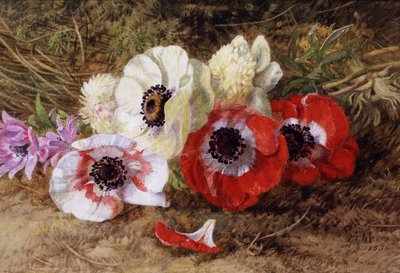 Anemonlar by Annie Feray Mutrie