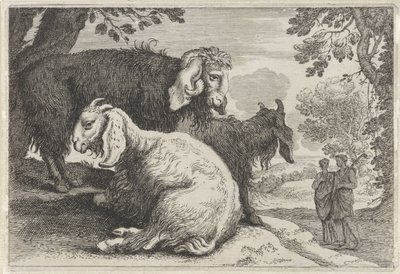 Ankara Koyunu Hayvanlarla manzaralar (dizi A) (dizi başlığı) by Anonymous