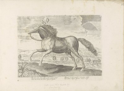 Arabisch paard Afer (nesne üzerindeki başlık) Paardenrassen uit de Koninklijke stallen van Don Juan van Oostenrijk (seri başlığı) Her türden en asil olan bir at: dünyanın çeşitli yerlerinden seçilen atların seçkin bir karakteri (...) (nesne üzerine seri ba by Anonymous