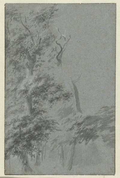 Orman manzarası by Anonymous