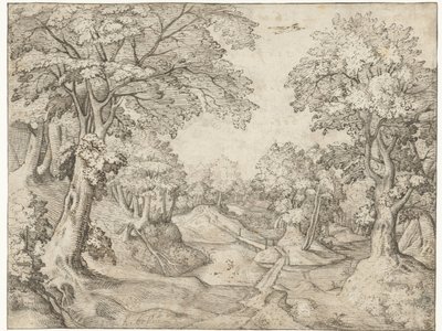 Bir dere ile orman manzarası by Anonymous