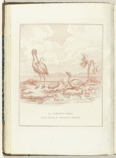 Comité van Hoge, Lage en Middelbare Heerlijkheden, 1795 Alti, Bassi ve Mezzani Domini Komitesi (nesne üzerine başlık) Hollandia Regenerata (İtalyanca kopyası) (dizi adı) Hollanda