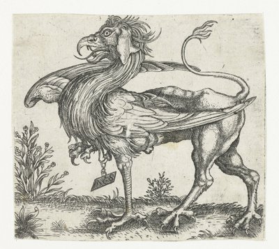 griffin by Anonymous