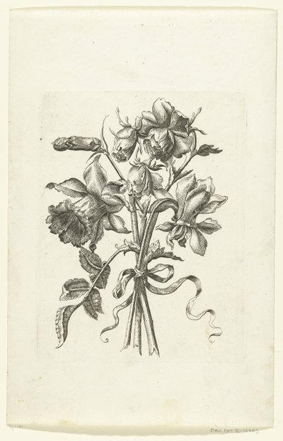Bir nergis ve bir karanfil olmak üzere üç çiçek Novae Florum Icones (dizi başlığı) by Anonymous