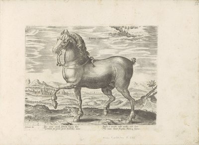 Alman atı (nesne üzerindeki başlık) Paardenrassen uit de Koninklijke stallen van Don Juan van Oostenrijk (seri başlığı) Equile by Anonymous