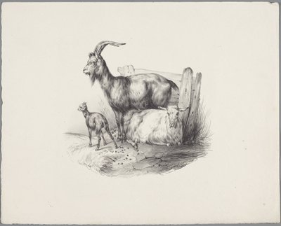 Bir keçi, bir keçi ve bir kuzu Altı küçük hayvan çalışması (dizi başlığı) Altı küçük canavar çalışması (nesne üzerine seri başlığı) by Anonymous