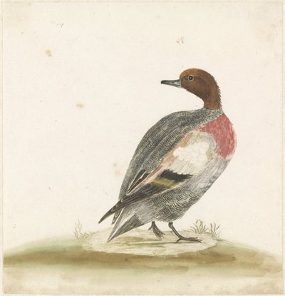 Sağa ördek, sola bakan by Anonymous