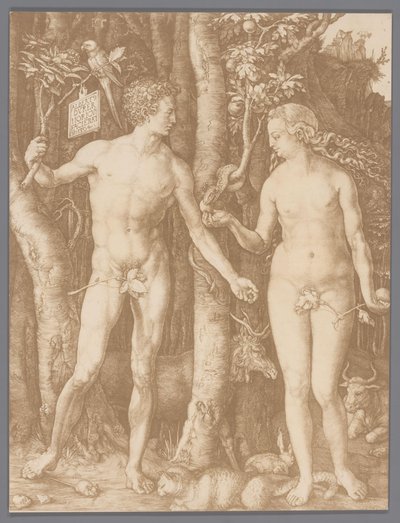 Albrecht Dürer'in Adem ve Havva gravürünün fotoğraflı reprodüksiyonu by Anonymous
